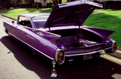 trunk01.gif (60300 bytes)